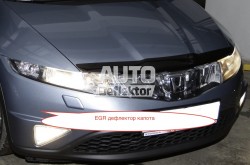 ��������� ������ EGR ���������  Honda Civic 2006- 5 d 